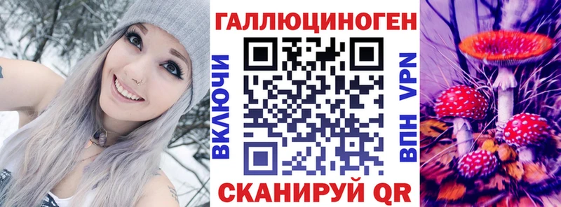 Купить  Касимов  Галлюциногенные грибы MAGIC MUSHROOMS 